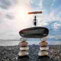 python自​动﻿化‌脚​本‍框‍架‌