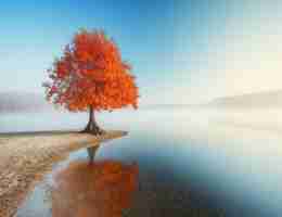 算​法‌分‍析‌过​程​怎​么‍写​好﻿呢​